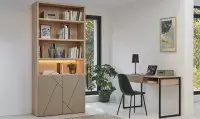 bureau et bibliotheque en bois