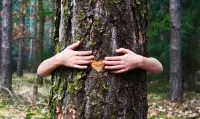 Respecter la nature