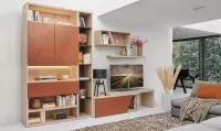 Composition tv salon