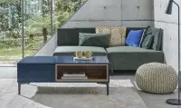 Pigment - table bleu