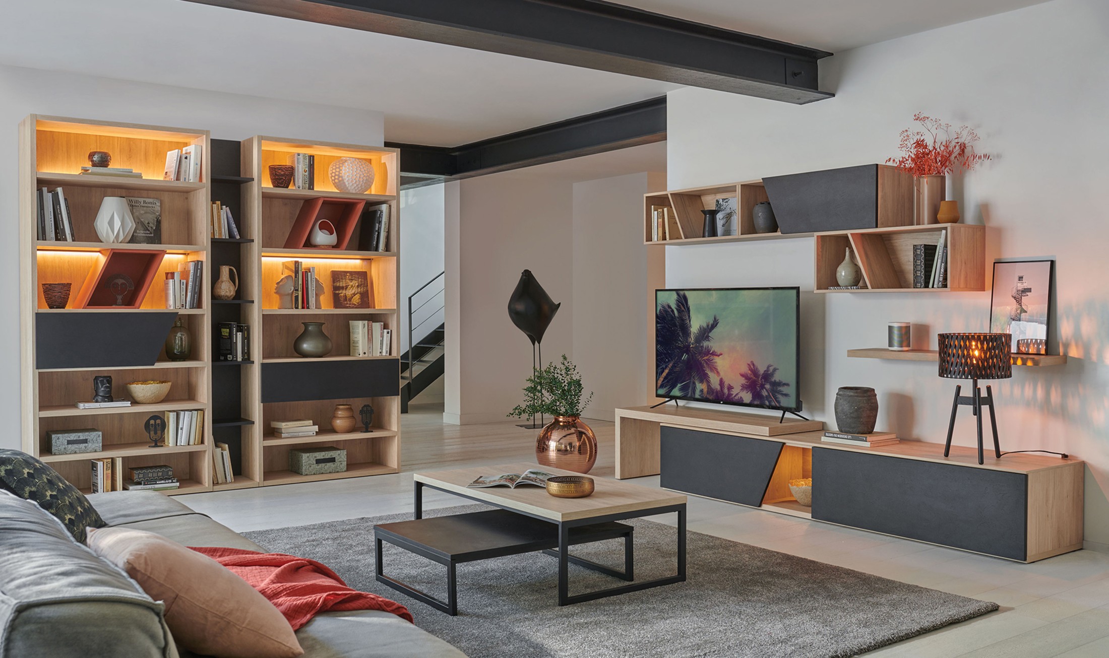 Aménager une Bibliothèque Murale et Design